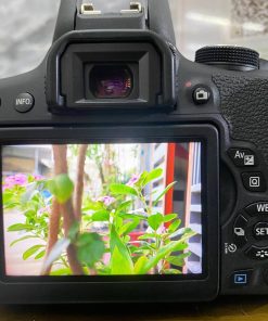 Photo 6174587028348015303 Y