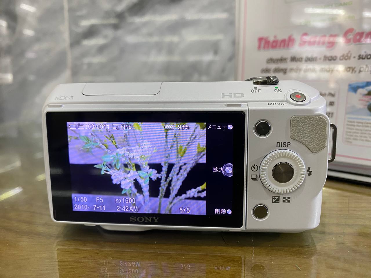 Photo 6176838828161701144 Y Photo 6176838828161701144 Y